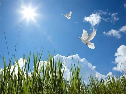 ���P(gu��n)�ڼӿ����M(j��n)�Gɫ�a(ch��n)Ʒ�ľŗl��Ҋ��